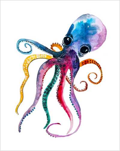 Rainbow Octopus